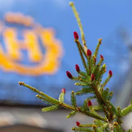 Szrenicowy Dwor Szklarska Poręba