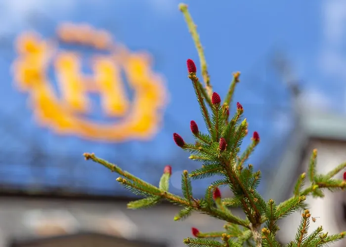 Szrenicowy Dwor Schreiberhau